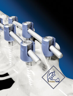 Veterinary Spinal Systems