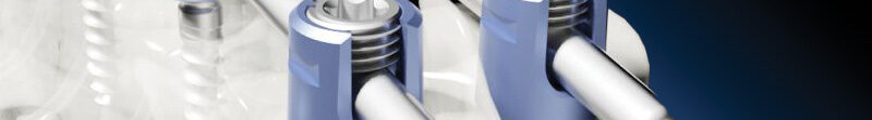 Veterinary Spinal Systems