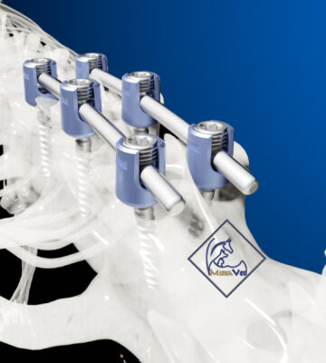 Veterinary Spinal Systems