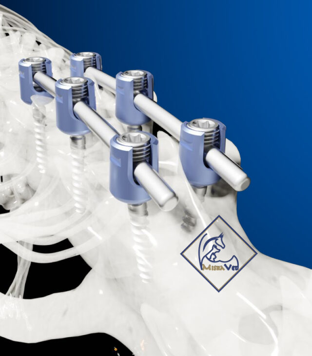 Veterinary Spinal Systems