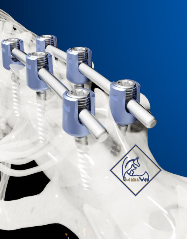 Veterinary Spinal Systems